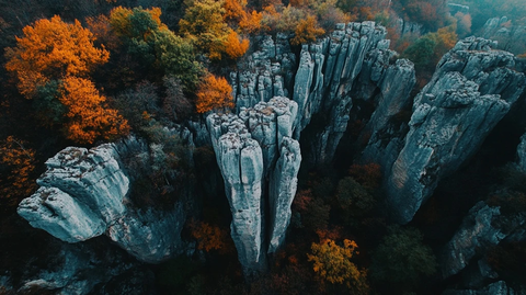神秘石林俯瞰图
