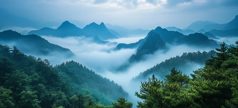 云雾笼罩山峰，青松两侧
