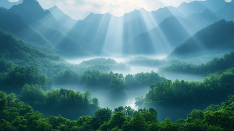 晨光中的山谷与雾