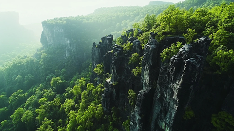 森林与岩石的自然边界