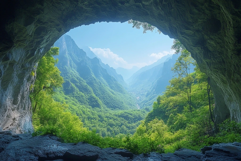 洞穴入口与绿色植被
