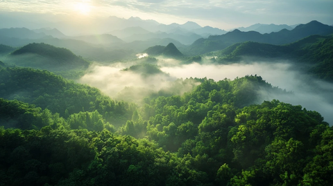 云雾缭绕的绿色山脉