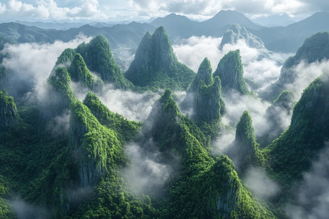 外星雨林俯瞰图