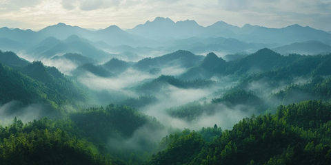 群山与森林的迷雾