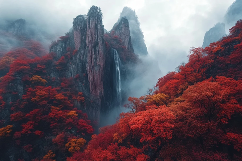 红树金宫瀑布山