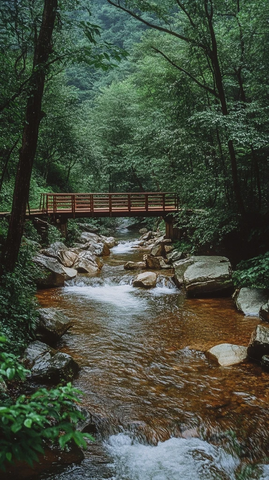 木桥流水绿树环绕