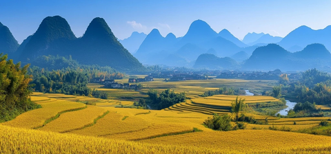 金色稻田与青山