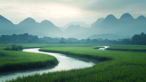 春耕时节稻田与溪流