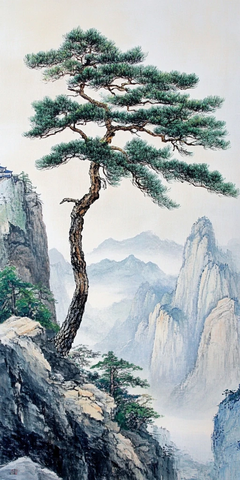 迎客松高清图片