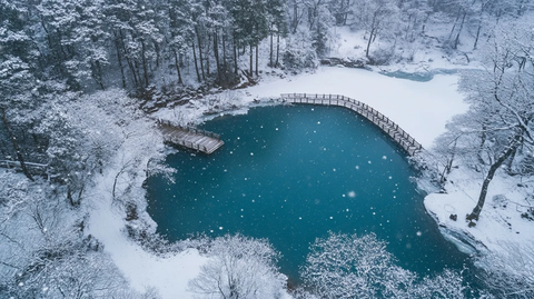 雪中湖畔木桥