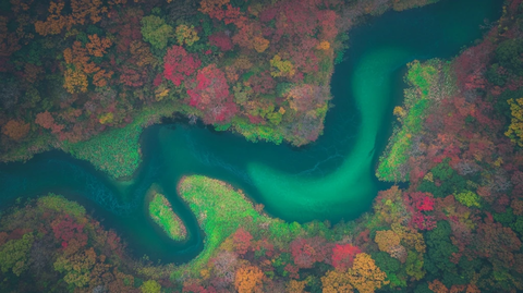 蜿蜒河流与秋色