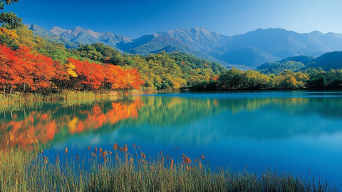 树木倒影湖面秋色