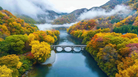 河流与桥梁连接两岸秋色