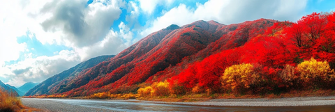 日本秋叶与河流