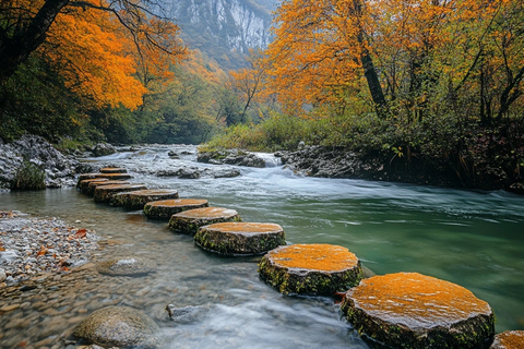 山间溪流与踏脚石