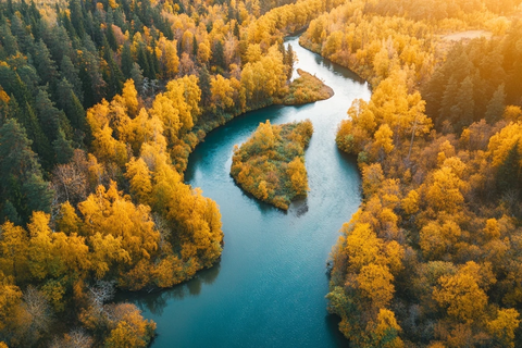 秋日森林中的蜿蜒河流