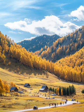 黄叶林间公路与游客