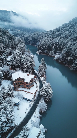 雪后蓝湖与松林
