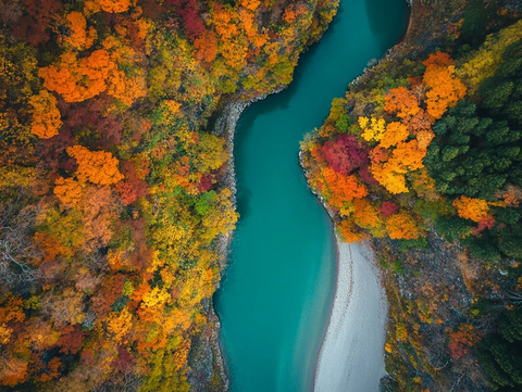 秋叶与河流的蜿蜒