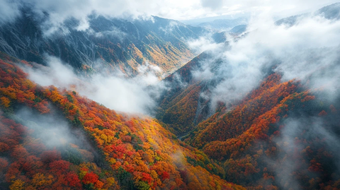 秋色山谷云海俯瞰