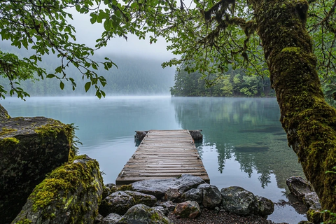 湖面木桥晨雾