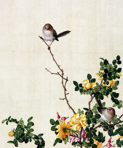 6黄刺么鱼儿牡丹图