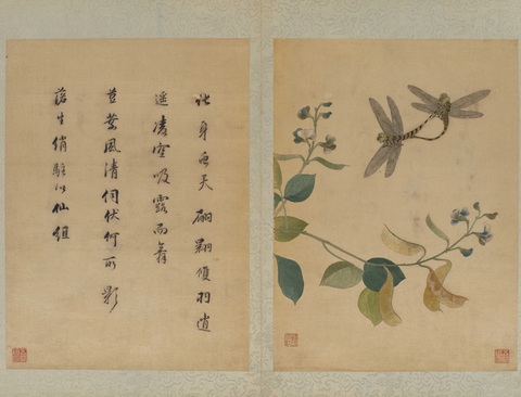 《韩希孟绣宋元名迹册·扁豆蜻蜓图》