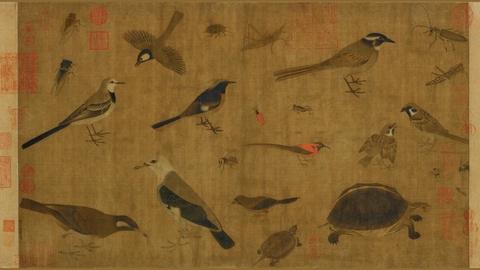 五代 黄荃 写生珍禽图绢本 41.5x70.8副本