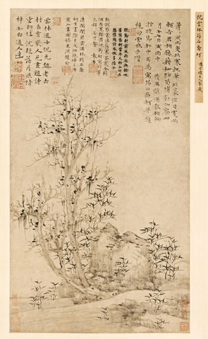 元 倪瓒 筠石乔柯图轴67.3×36.8克利夫兰馆藏　