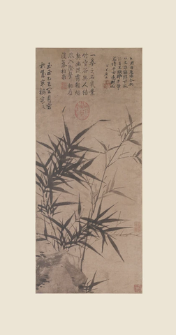 元 顾安 拳石新篁图纸本91x33.1北京故宫副本