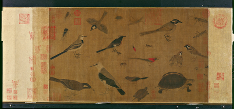 写生珍禽图 纸本27.5x521.5