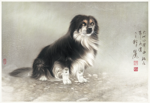 刘j-027-一只狗-ca0709011 