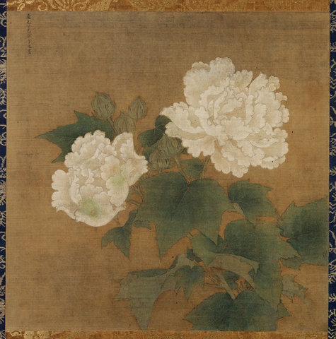 南宋 李迪 白芙蓉55x55