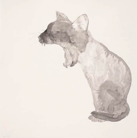 吴雪莲 MIEMIE怒了 镜心 