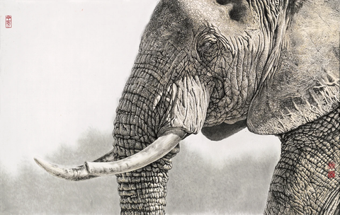 唐坚-001-非洲象-ca0709012 
