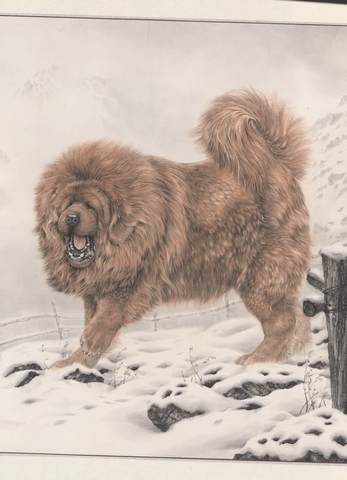 唐坚-藏獒之十-02 