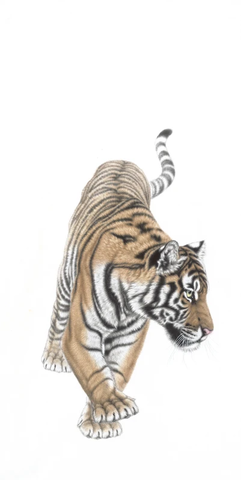 孟祥顺 无背景 竖幅1 