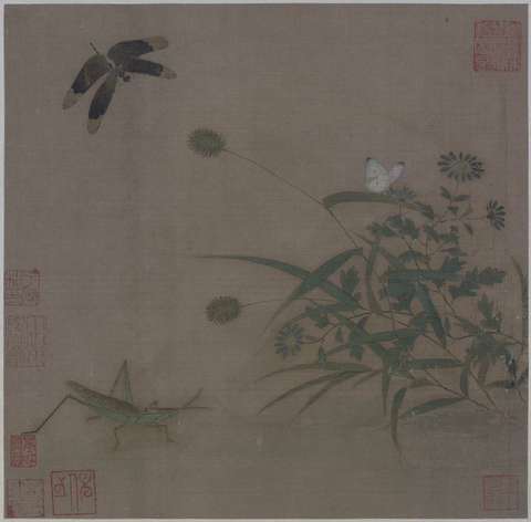 宋 佚名 写生草虫图 25.9x26.9.