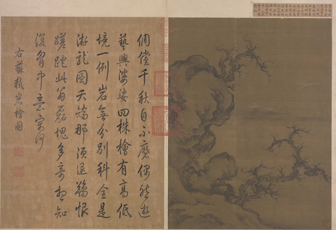 宋 佚名 岩桧图50.5×39.2