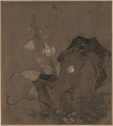 宋 佚名 花石草虫图 绢本 24.4x27_1