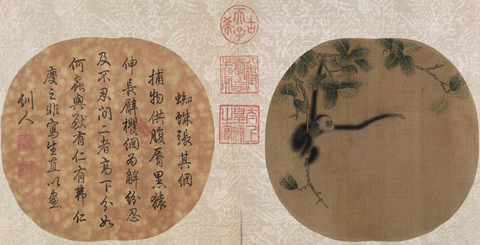 宋 佚名 蛛网攫猿图页绢本60x101弗利尔美术馆_1