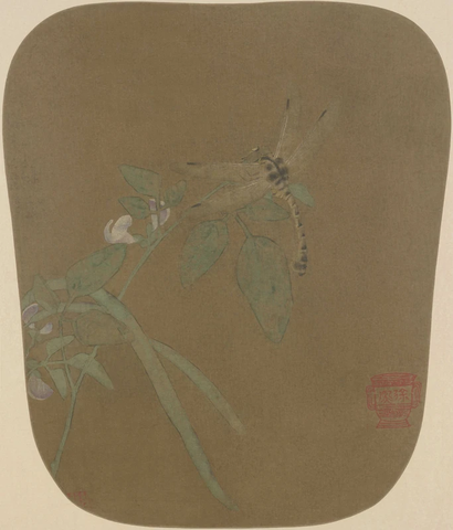 宋 佚名 豆荚蜻蜓图绢本47x40