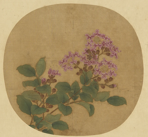 宋 卫昇 写生紫薇纸本31x28