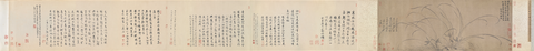 宋 赵孟坚 墨兰图全卷纸本34.5x90.2
