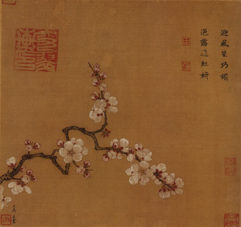 宋 马远 倚云仙杏图页27x28台北