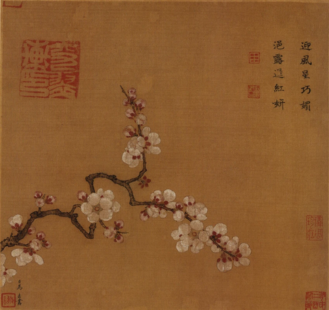 宋 马远 倚云仙杏图页27x28台北_1