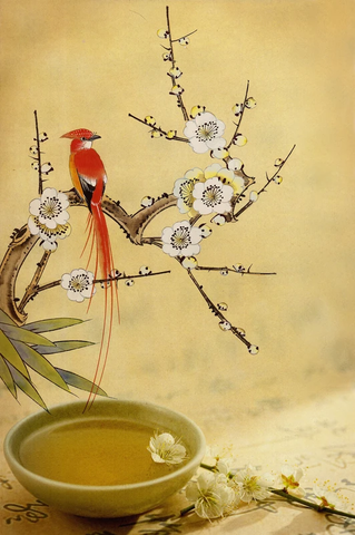 工笔画 花鸟50x33 