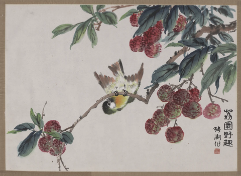 张渊-荔枝小鸟 (1)