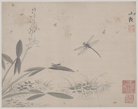 明 杜大成 花蝶草虫纸本28x35(2)