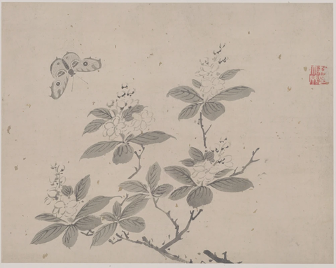 明 杜大成 花蝶草虫纸本28x35(4)